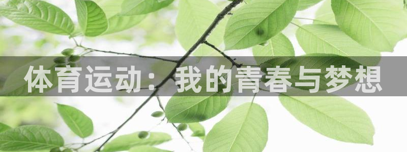 利记app官方官网登录：体育运动：我