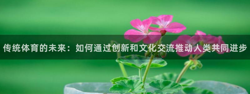 利记官网平台入口：传统体育的未来：如