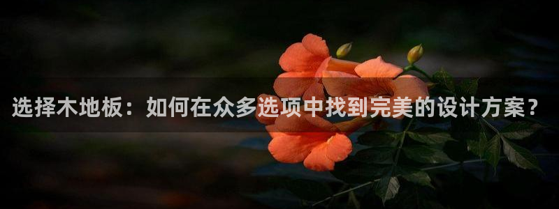  利记官网：选择木地板：如何在众多选项中找到完美的设计方案？