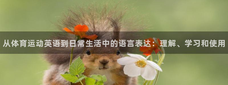  利记365：从体育运动英语到日常生活中的语言表达：理解、学习