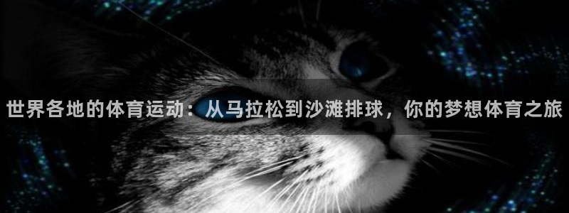  利记官网多少：世界各地的体育运动：从马拉松到沙滩排球，你的梦