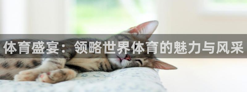 利记代理备用网址：体育盛宴：领略世界