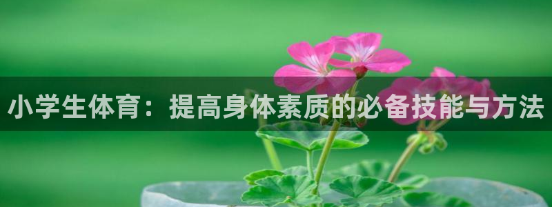  利记SBOBET官网APP：小学生体育：提高身体素质的必备技