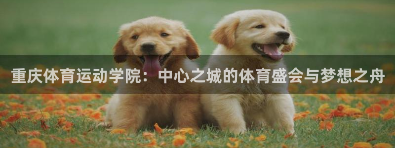 利记平台是哪的：重庆体育运动学院：中心之城的体育盛会与梦想之