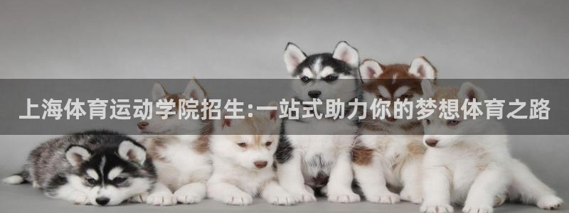  利记平台是哪的：上海体育运动学院招生:一站式助力你的梦想体育