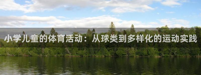 利记sbobet官方网站入口：小学儿