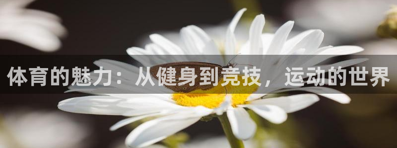 利记手机官网：体育的魅力：从健身到竞技，运动的世界