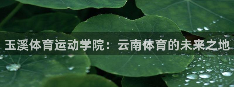 利记lk：玉溪体育运动学院：云南体育的未来之地