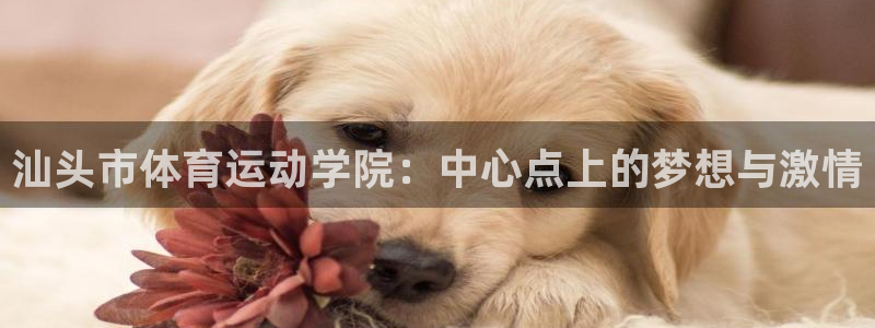  sbo利记：汕头市体育运动学院：中心点上的梦想与激情