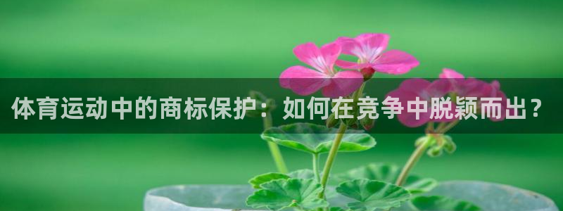 利记官网入口：体育运动中的商标保护：如何在竞争中脱颖而出？