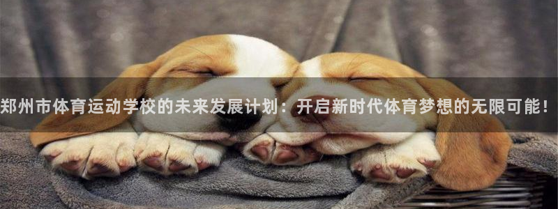 利记轮渡集团：郑州市体育运动学校的未来发展计划：开启新时代体